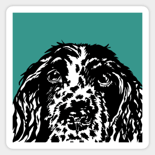 Alfie the Springer Spaniel Dog Sticker